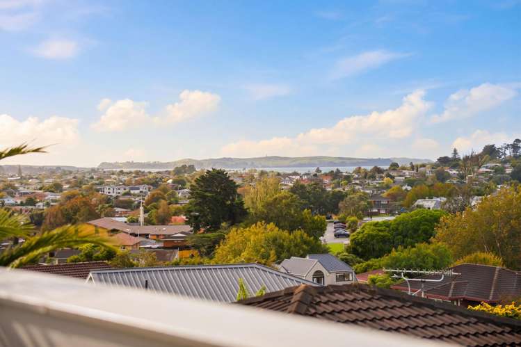 45A Bradbury Road Botany Downs_22