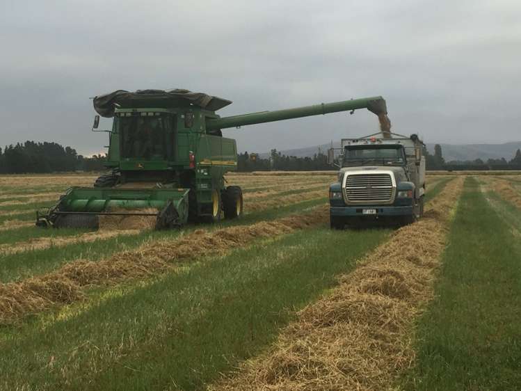 100 Oakleys Road Mayfield_8