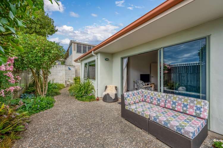 9A Chambers Street Havelock North_7