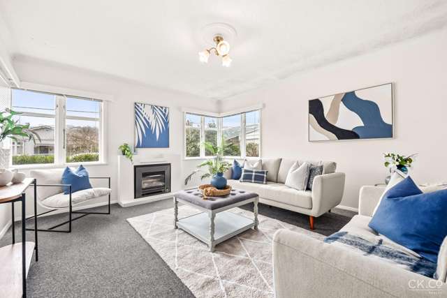 54 Nelson Street Petone_2