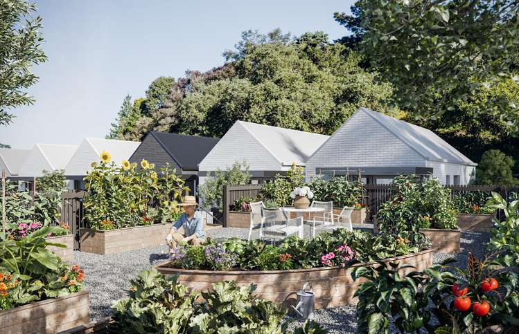 20 Morton Street Kingston_8