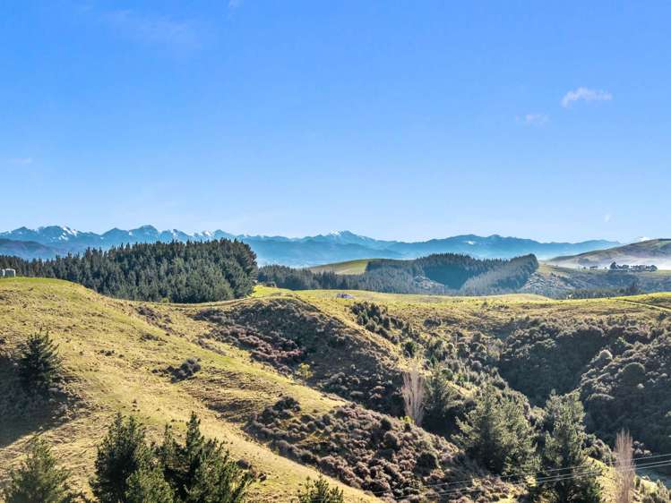 660 Cathedral Road Domett_31