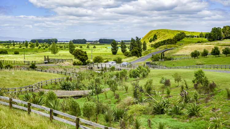 683 Back Miranda Road Miranda_16