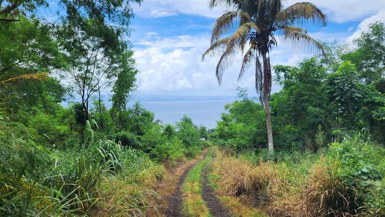 Address withheld Taveuni_4