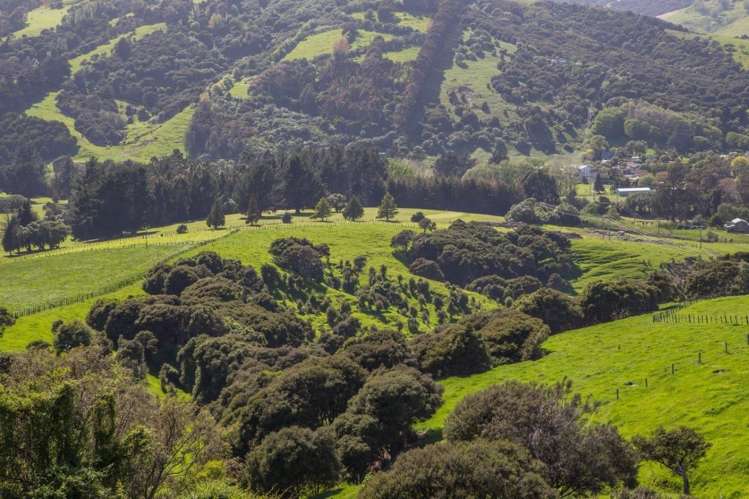 40 Pigeon Bay Road Duvauchelle_11