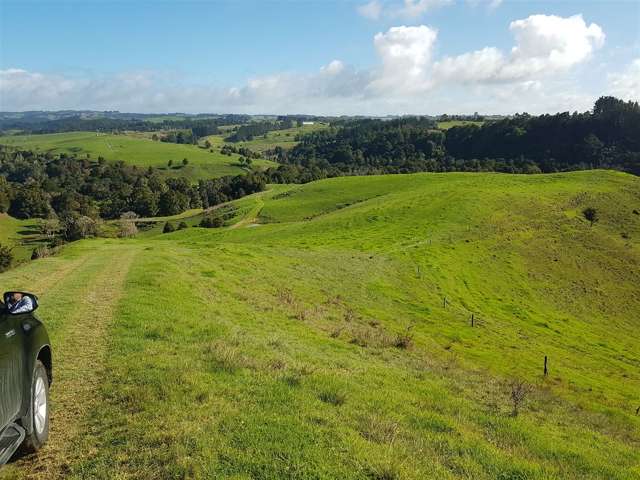 Okokako Road Waimate North_2