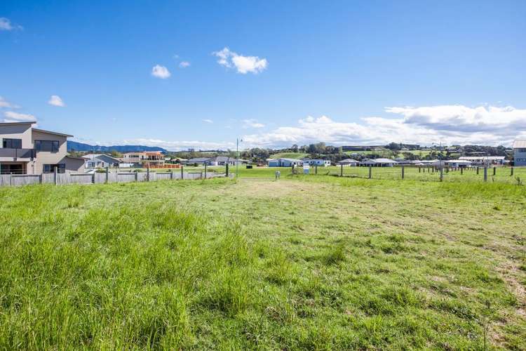 15 Rimu Rimu Key Opotiki and Surrounds_8