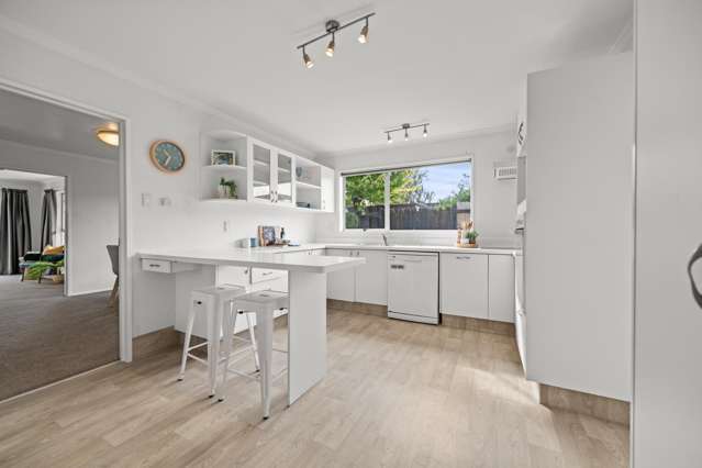 17 Caulfield Place Awapuni_2