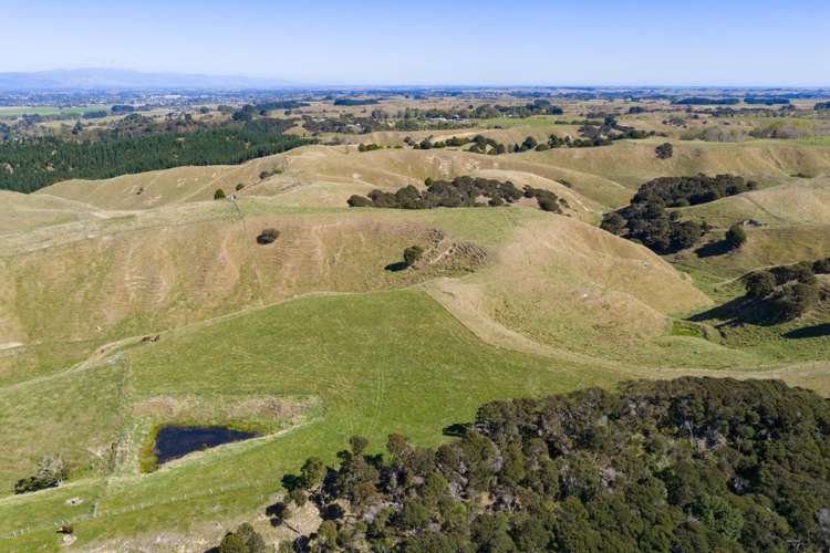 109A Junction Road Halcombe_10