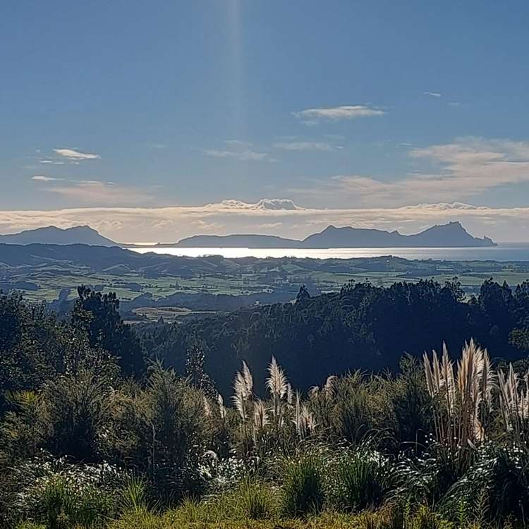 Lot/2 McAdam Road Waipu_11