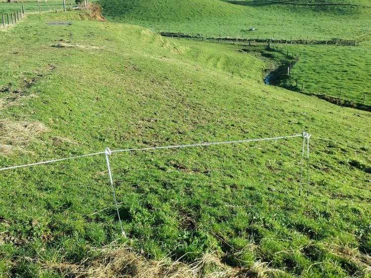 103 Kupara Road Ratapiko_15