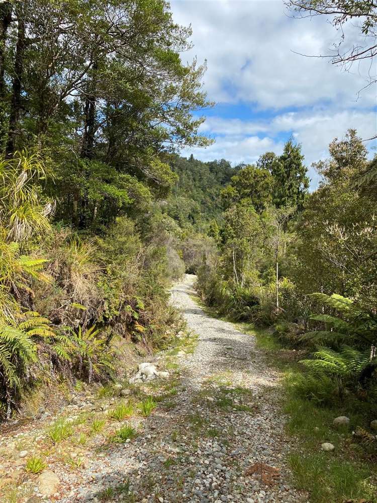 25/9194 State Highway 6 Westport_6