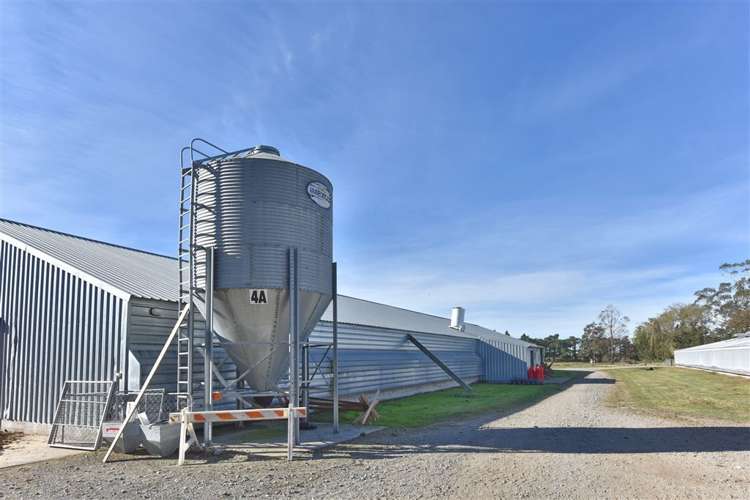 87 Ashworths Road Ohoka_3