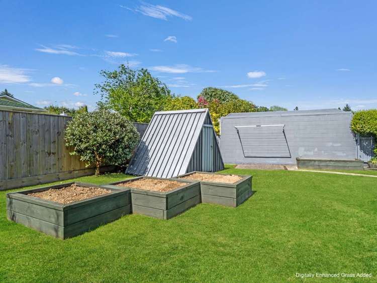 9 Dee Street Levin_20