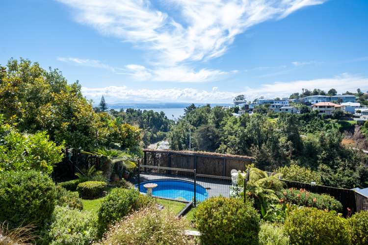 11 Lincoln Road Bluff Hill_16