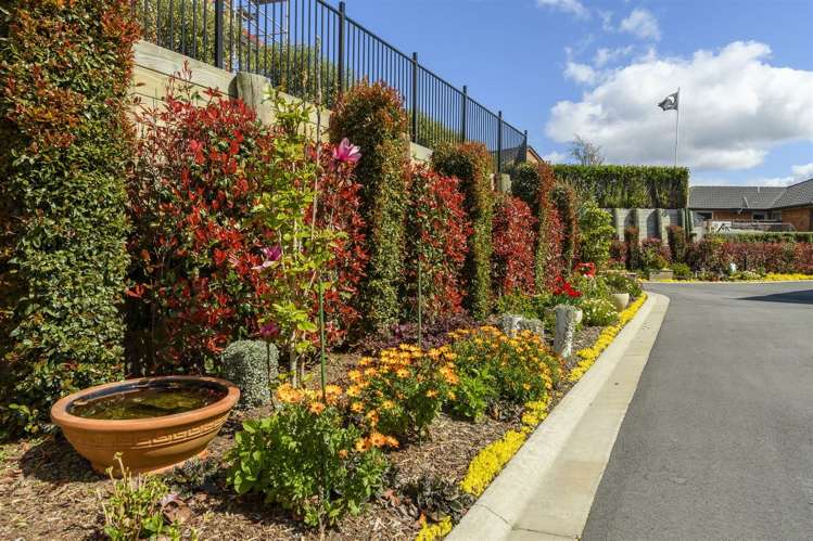 66 Tory Way Omokoroa_27