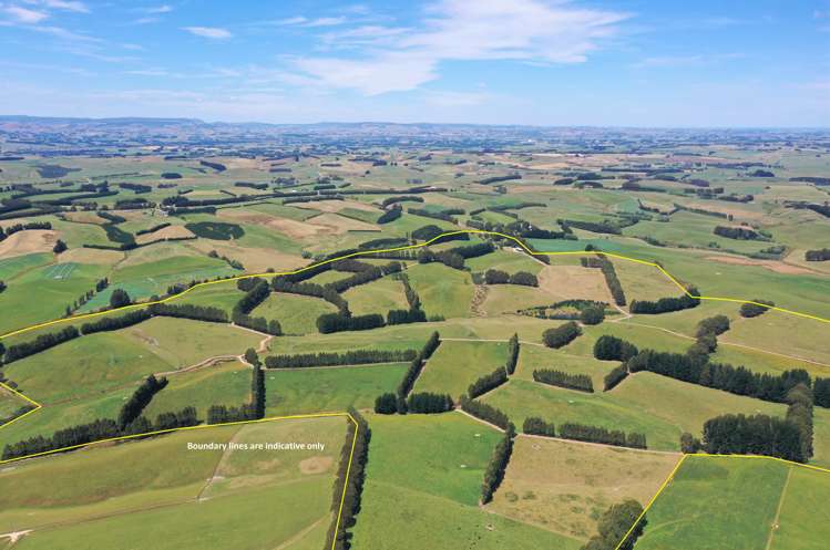 120 Roughan Road Southland_4