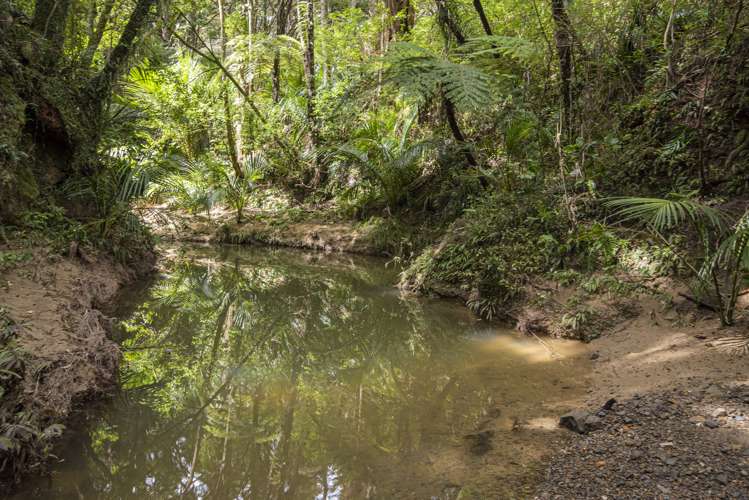 45 Kiwi Lane Kaiwaka_13