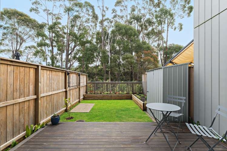 13 Kaimai Avenue Massey_5