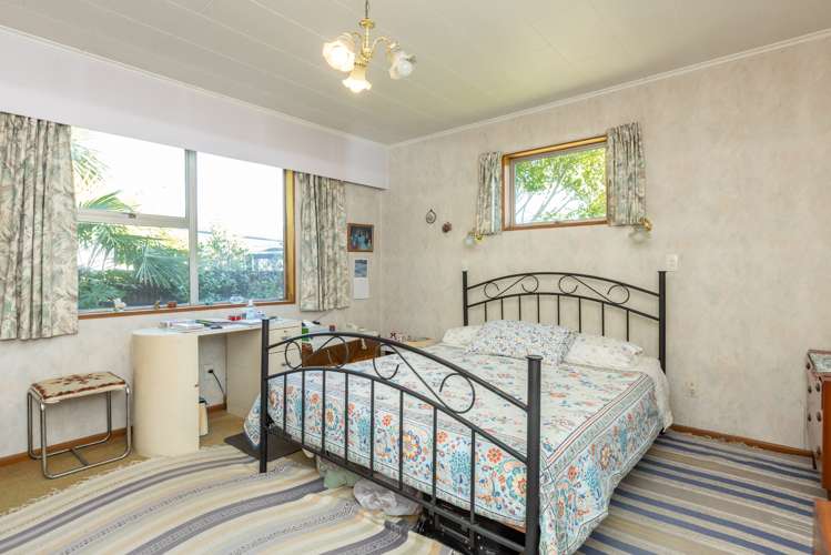 69 Leicester Avenue Tamatea_7