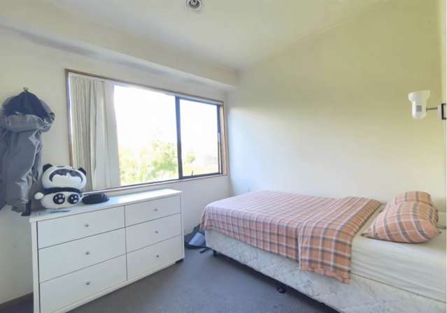 19A Pleasant Street Onehunga_2