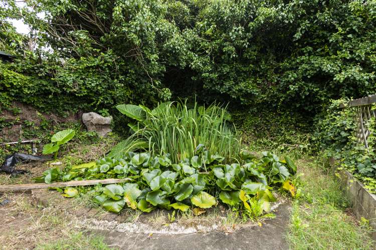 83 Stout Street Whataupoko_9