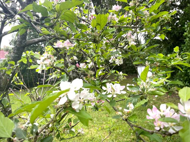 1/2 Bailey Road Mount Wellington_22