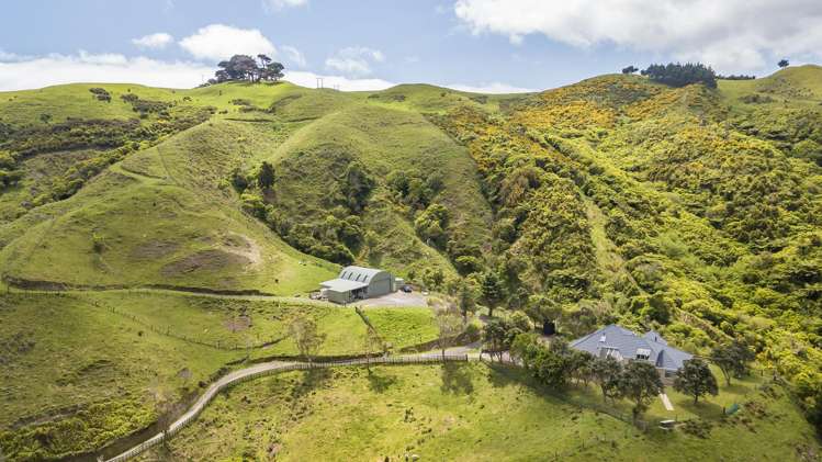 419 and 431 Takapu Road Takapu Valley_2