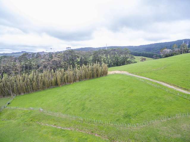 12 Pineview Lane Helensville_4