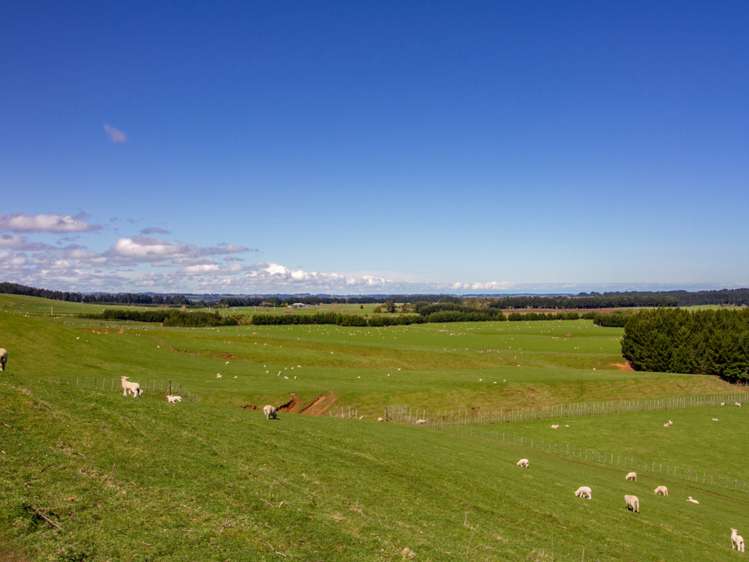 438 Omahina Road Waverley_22