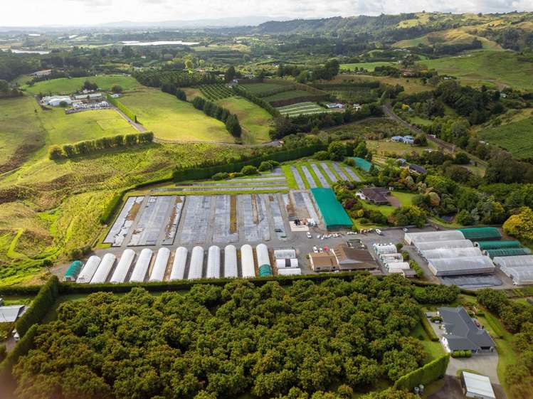 389 Old Highway Whakamarama_24