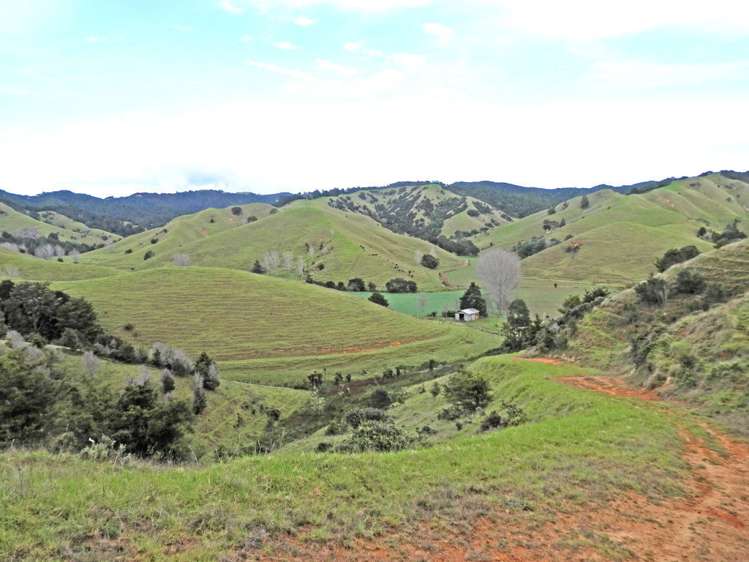 698 Whananaki South Road Whananaki_13