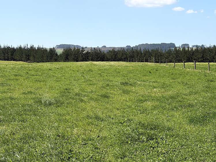 413a Baylys Coast Road Dargaville_22