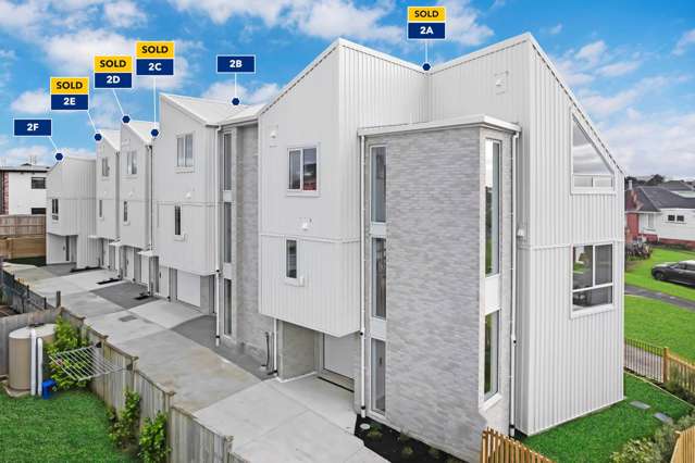 2B Marion Avenue Mt Roskill_2