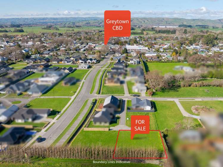 4B Stevens Drive Greytown_6
