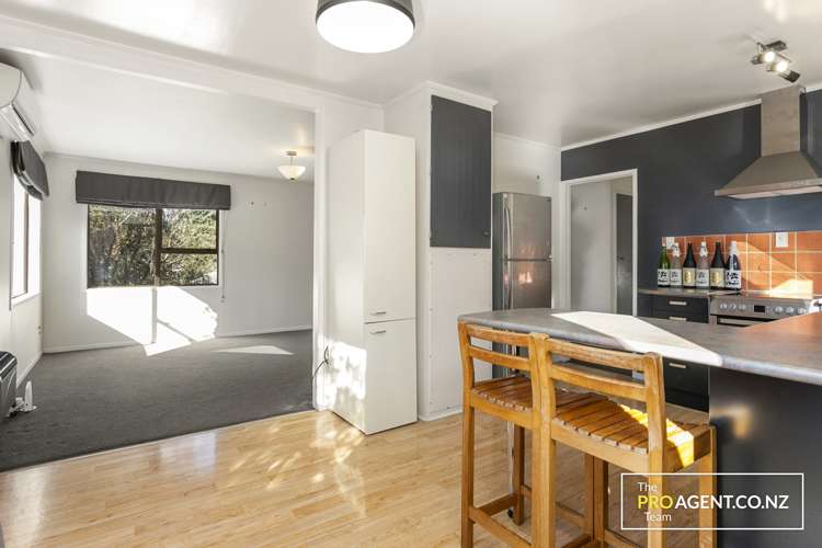 16 Panzic Place Glen Eden_5