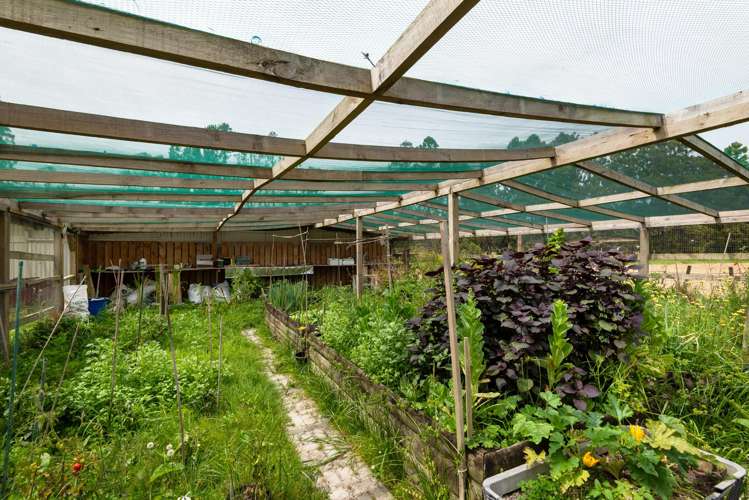 336 Ireland Road Waitoki_13