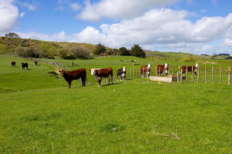 449 Beaconsfield Valley Road Waituna West_13