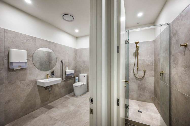 20 Augustus Terrace Parnell_7