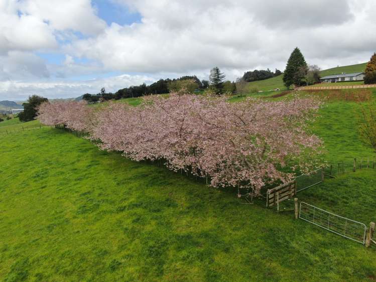 694 Troopers Road Te Kuiti_38