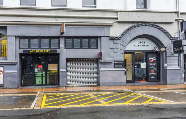 24/18 Allen Street (Carpark Only) Te Aro_4