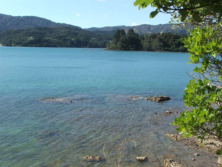 604 Wyuna Bay Road Coromandel_6