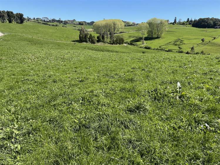 788 Troopers Road Te Kuiti_6