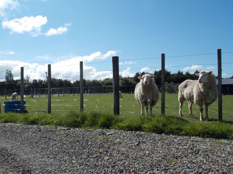 235c Watershed Road Bunnythorpe_1