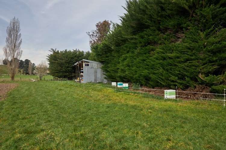 98 Fosters Road Cheviot_17