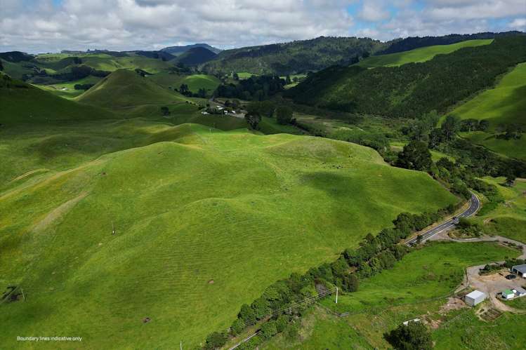 1911 Tutukau Road Wairakei and Surrounds_4