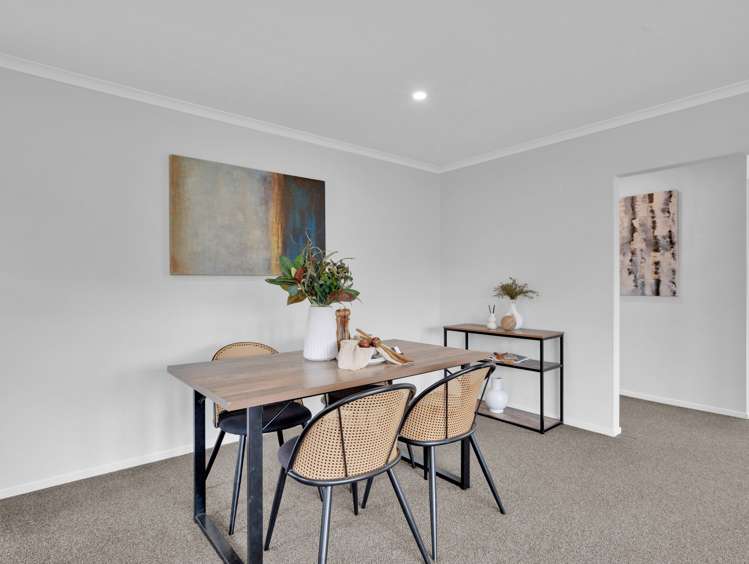 1/294 Ulster Street Whitiora_1