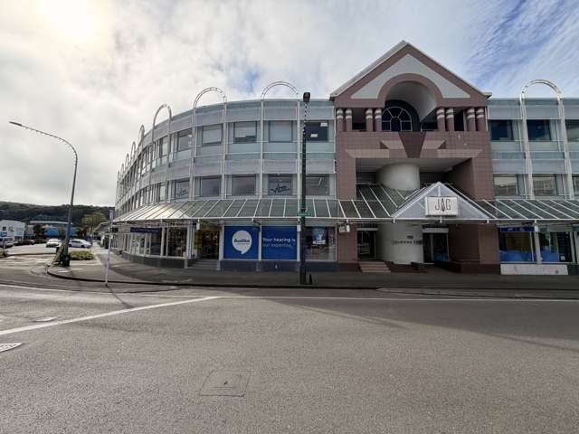 119 Queens Drive Hutt Central_1