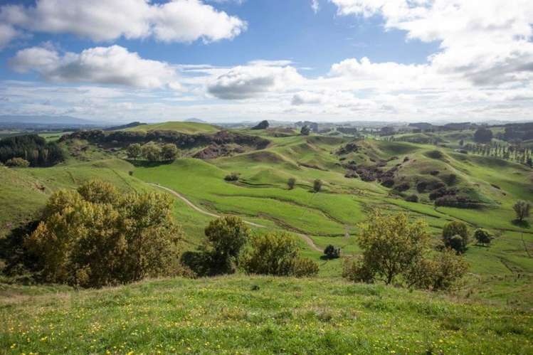 244 Whawharua Road Otorohanga_10