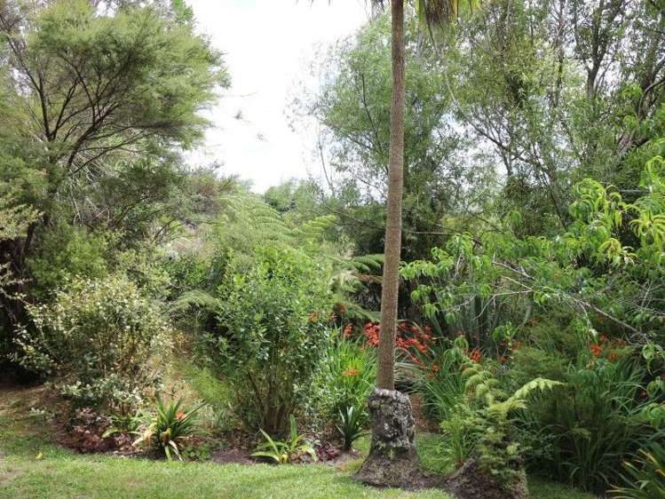 920 Purangi Road Cooks Beach_30